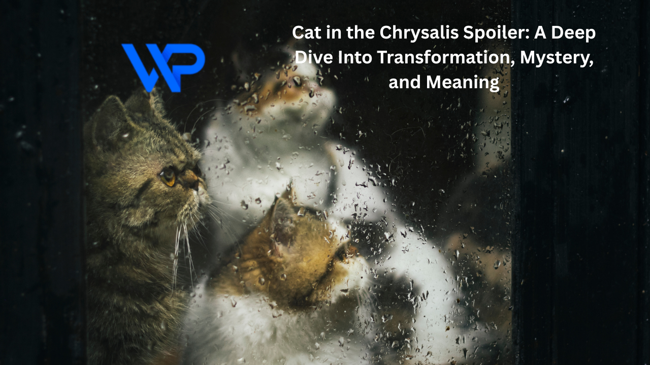 Cat in the Chrysalis Spoiler: A Deep Dive Into Transformation, Mystery, and Meaning